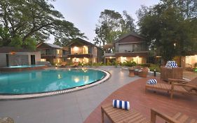 Arova Woods Zinc Journey By The Fern, Lonavala